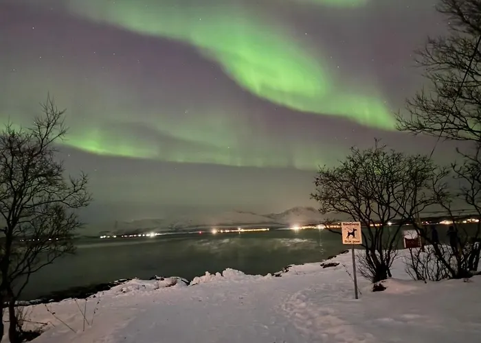 Telegrafbukta Panorama