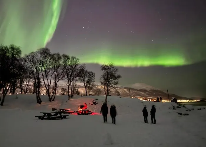Дом отдыха Telegrafbukta Panorama Тромсё