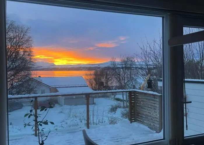 Telegrafbukta Panorama