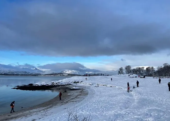 Telegrafbukta Panorama Тромсё