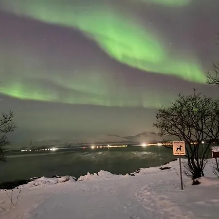 Telegrafbukta Panorama